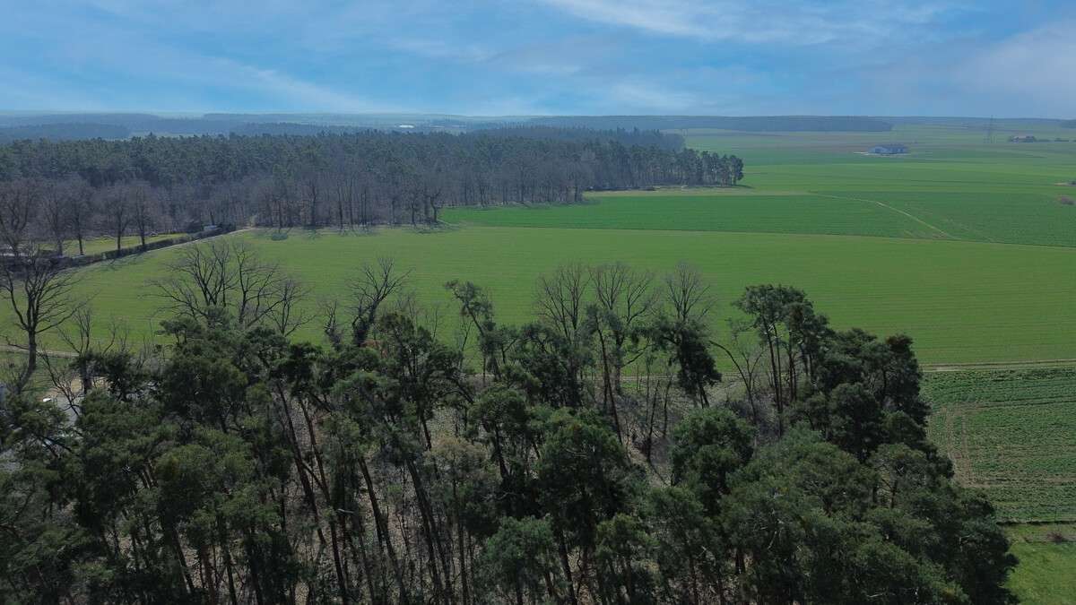 Thumbnail-Haus zum Kaufen in Stein bei Nürnberg 698.000,00 € 154 m²