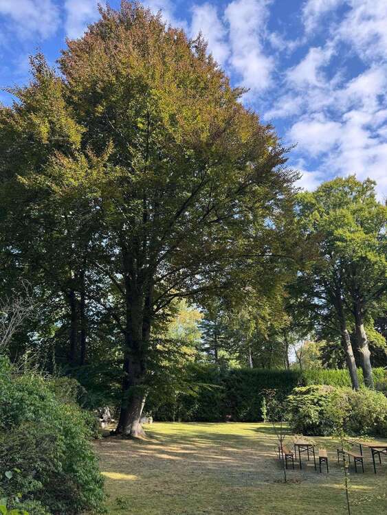 Thumbnail-Grundstück zu verkaufen in Köln 1.950.000,00 € 2000 m²