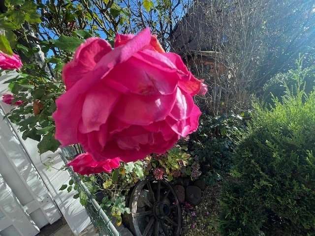 Thumbnail-Haus zum Kaufen in Dülmen 317.939,00 € 132.46 m²