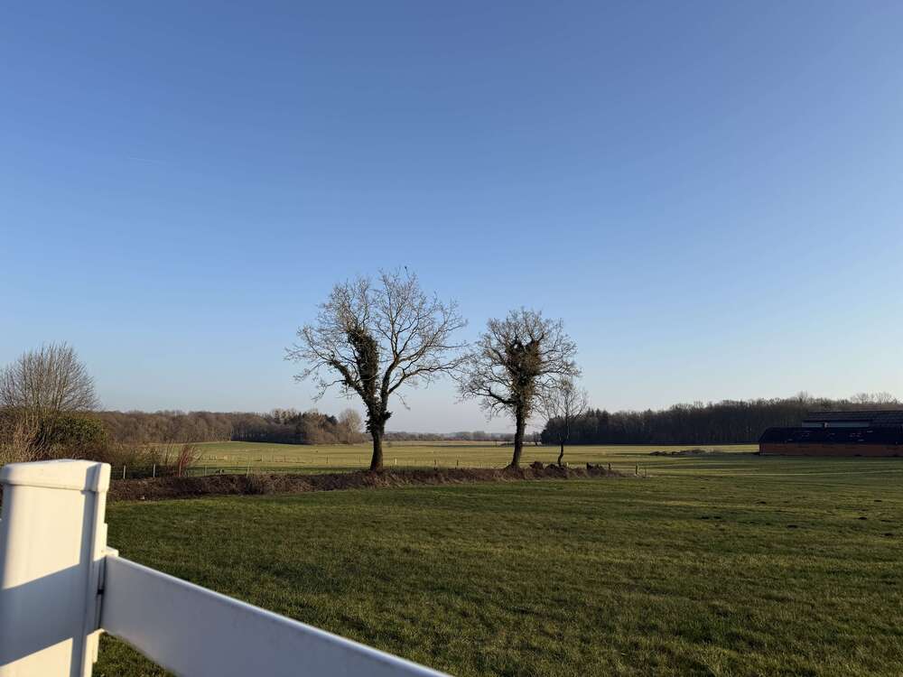 Thumbnail-Haus zum Kaufen in Winnert 194.000,00 € 107 m²