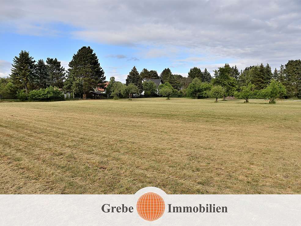 Thumbnail-Grundstück zu verkaufen in Saalow 750.000,00 € 10000 m²