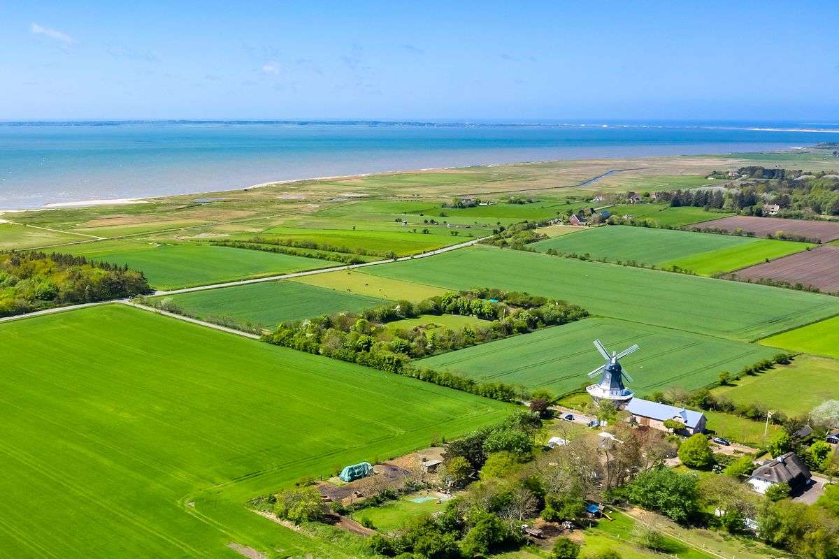 Thumbnail-Haus zum Kaufen in Borgsum 2.650.000,00 € 508 m²