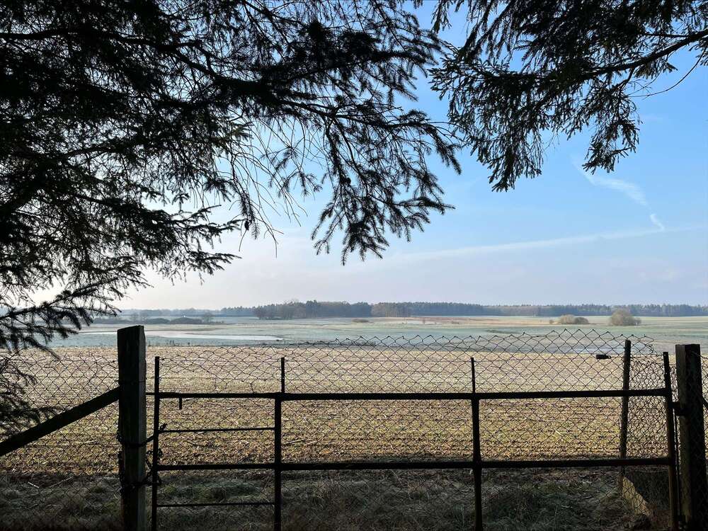 Thumbnail-Grundstück zu verkaufen in Dettmannsdorf 69.500,00 € 1188 m²