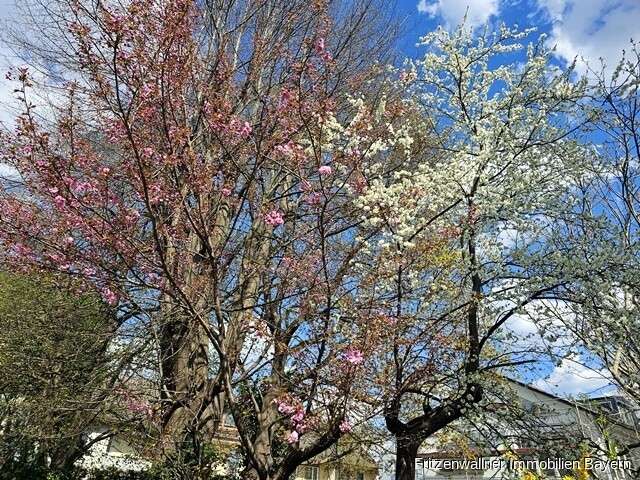 Thumbnail-Haus zum Kaufen in Augsburg Haunstetten 489.000,00 € 127 m²