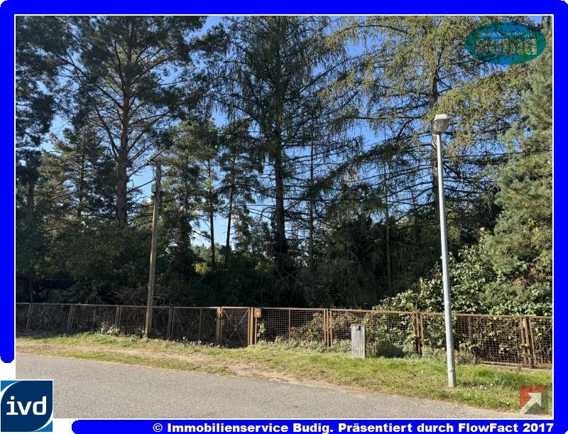 Thumbnail-Grundstück zu verkaufen in Königs Wusterhausen, OT Senzig 239.000,00 € 772 m²