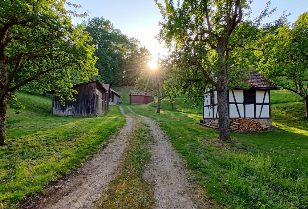 Thumbnail-Grundstück zu verkaufen in Schorndorf 39.000,00 € 4746 m²