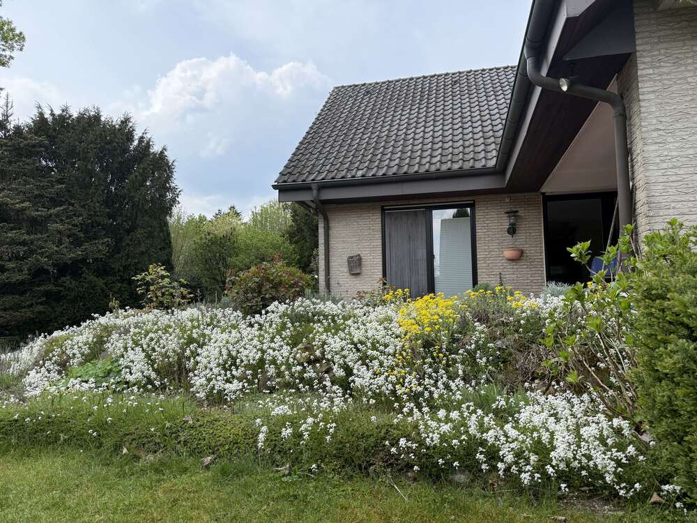 Thumbnail-Haus zum Kaufen in Dülmen 435.000,00 € 307 m²