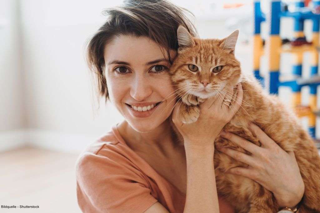 Thumbnail-Wohnung zum Kaufen in Berlin-Mahlsdorf Süd 349.000,00 € 87 m²