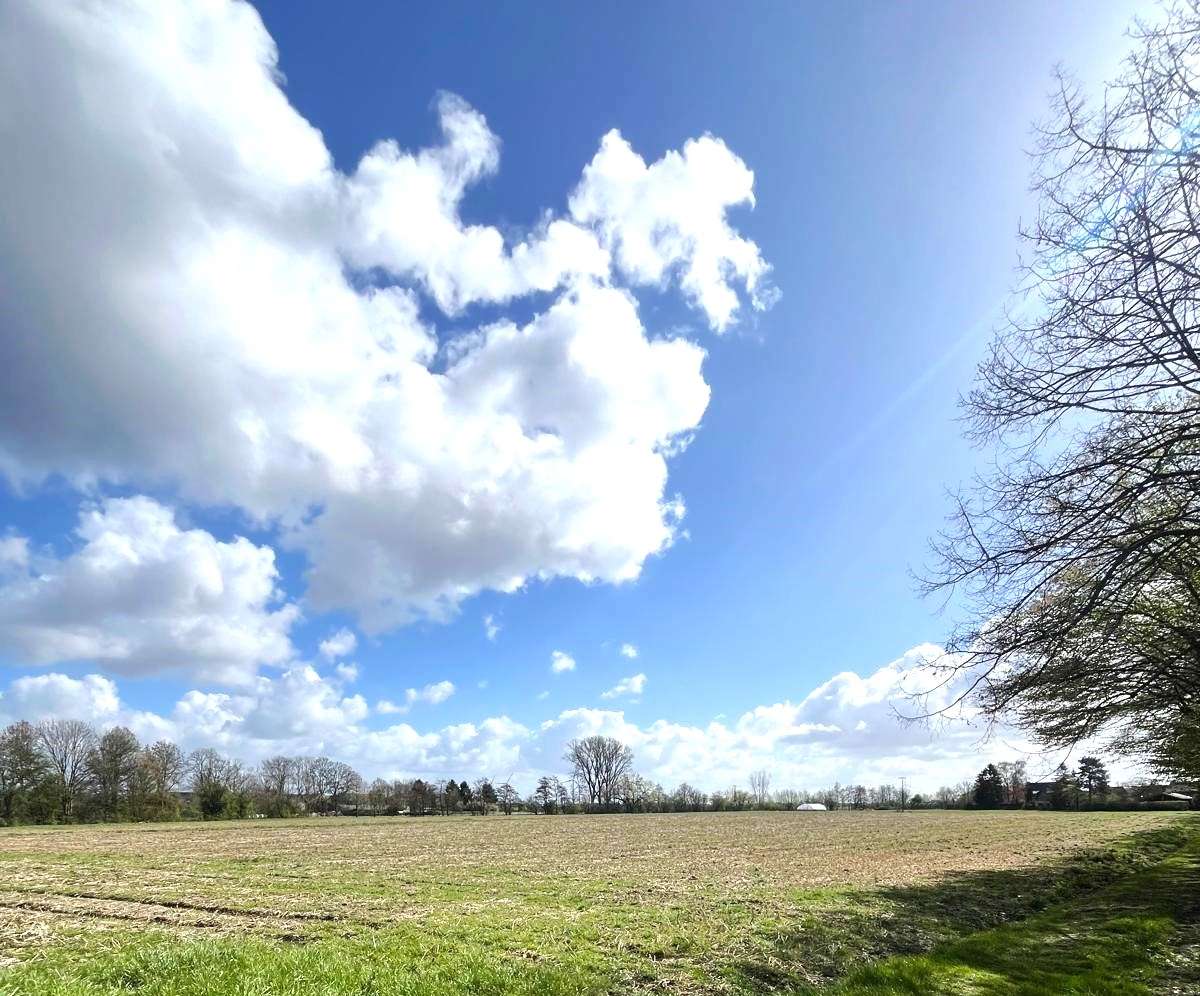 Thumbnail-Grundstück in Korschenbroich 380.000,00 € 25440 m²