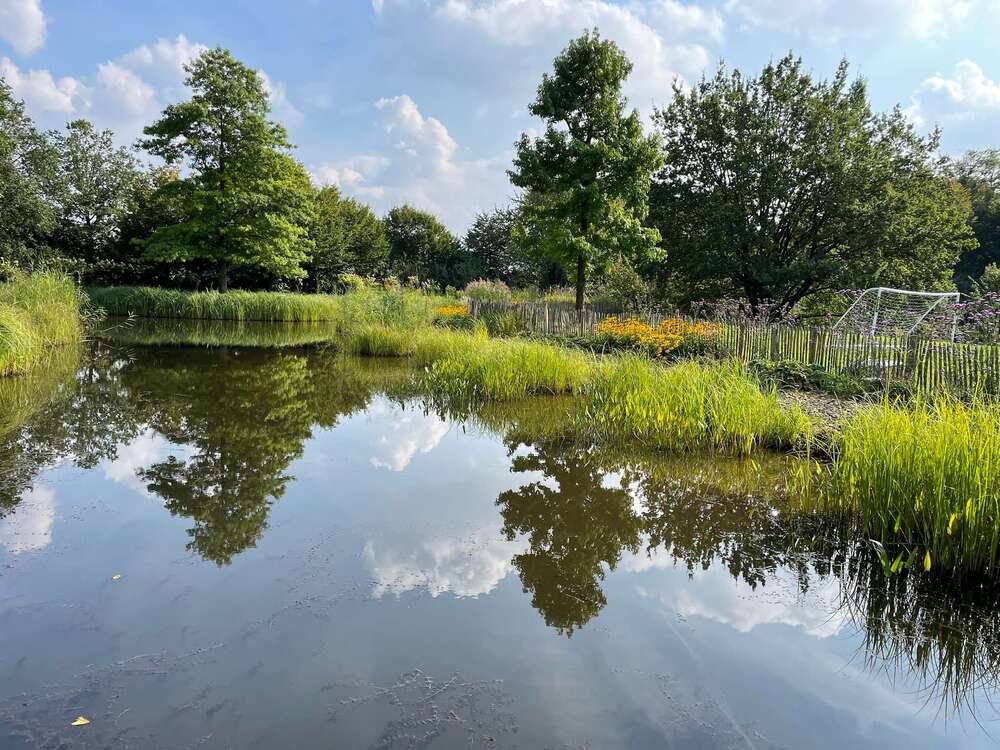 Thumbnail-Haus zum Kaufen in Düsseldorf-Hubbelrath 3.685.000,00 € 450 m²