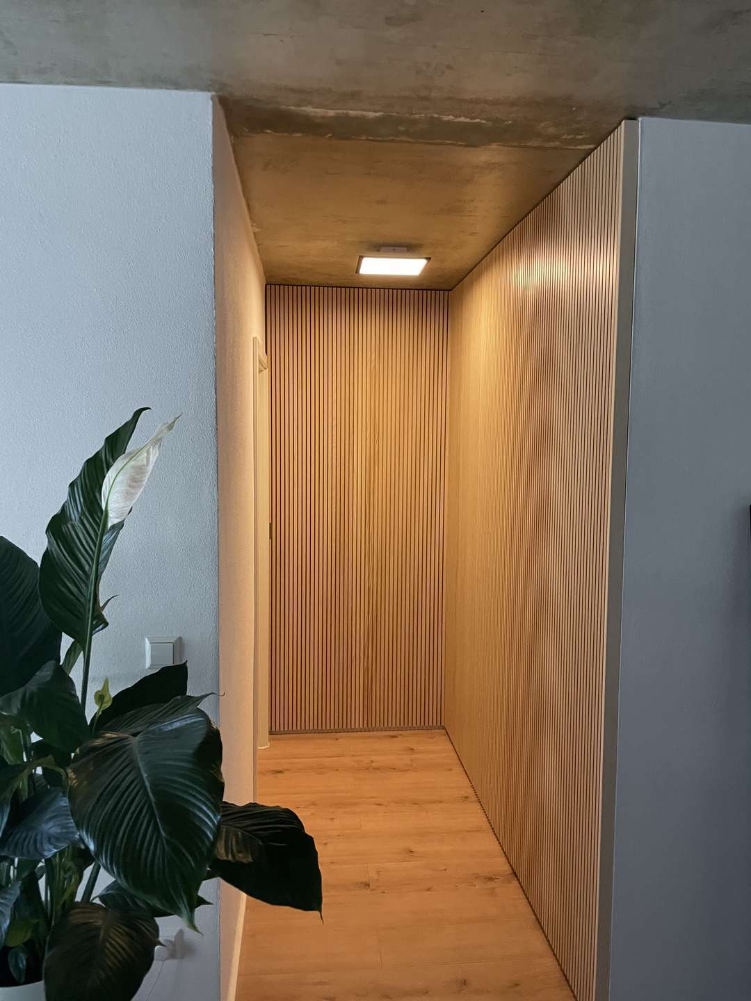 Thumbnail-Wohnung zum Mieten in Dresden 630,00 € 42 m²