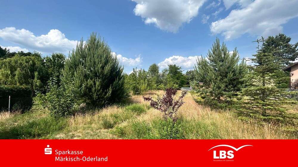 Thumbnail-Grundstück zu verkaufen in Lichtenow 160.000,00 € 1138 m²