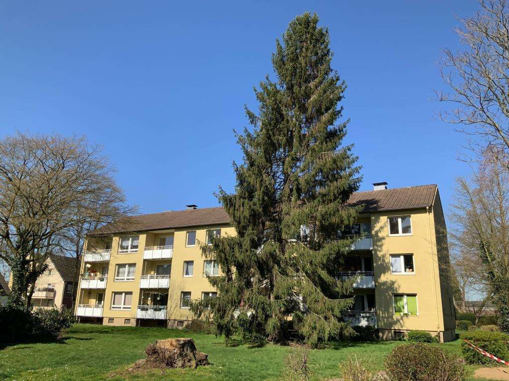 Thumbnail-Wohnung zum Mieten in Krefeld 539,00 € 56 m²