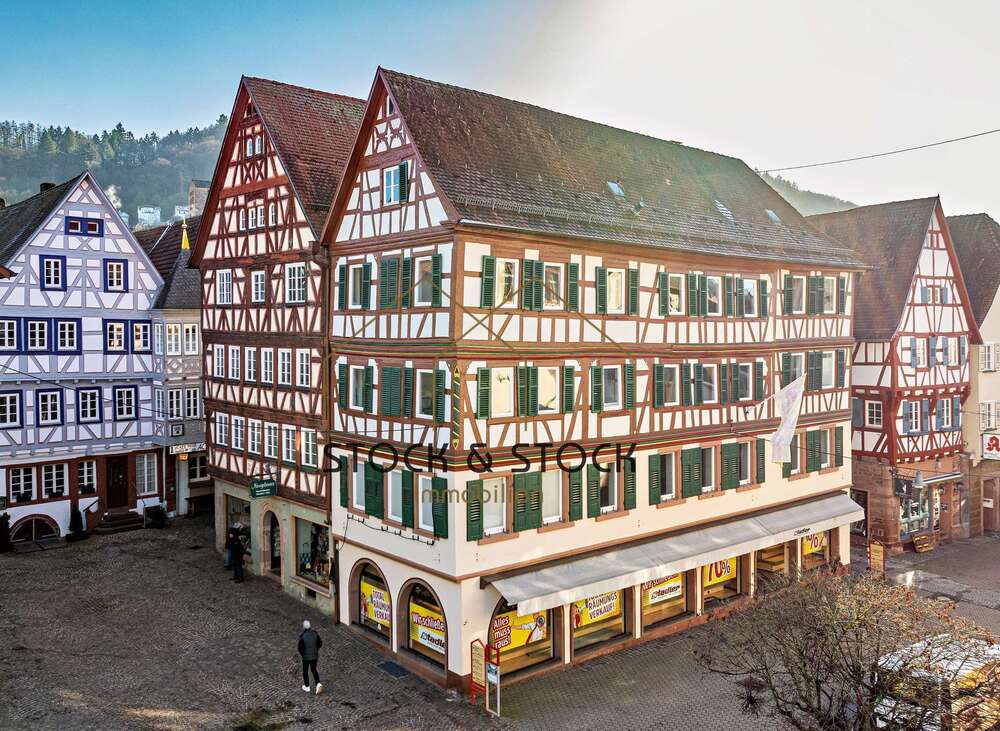 Thumbnail-Haus zum Kaufen in Mosbach 1.200.000,00 € 343.93 m²