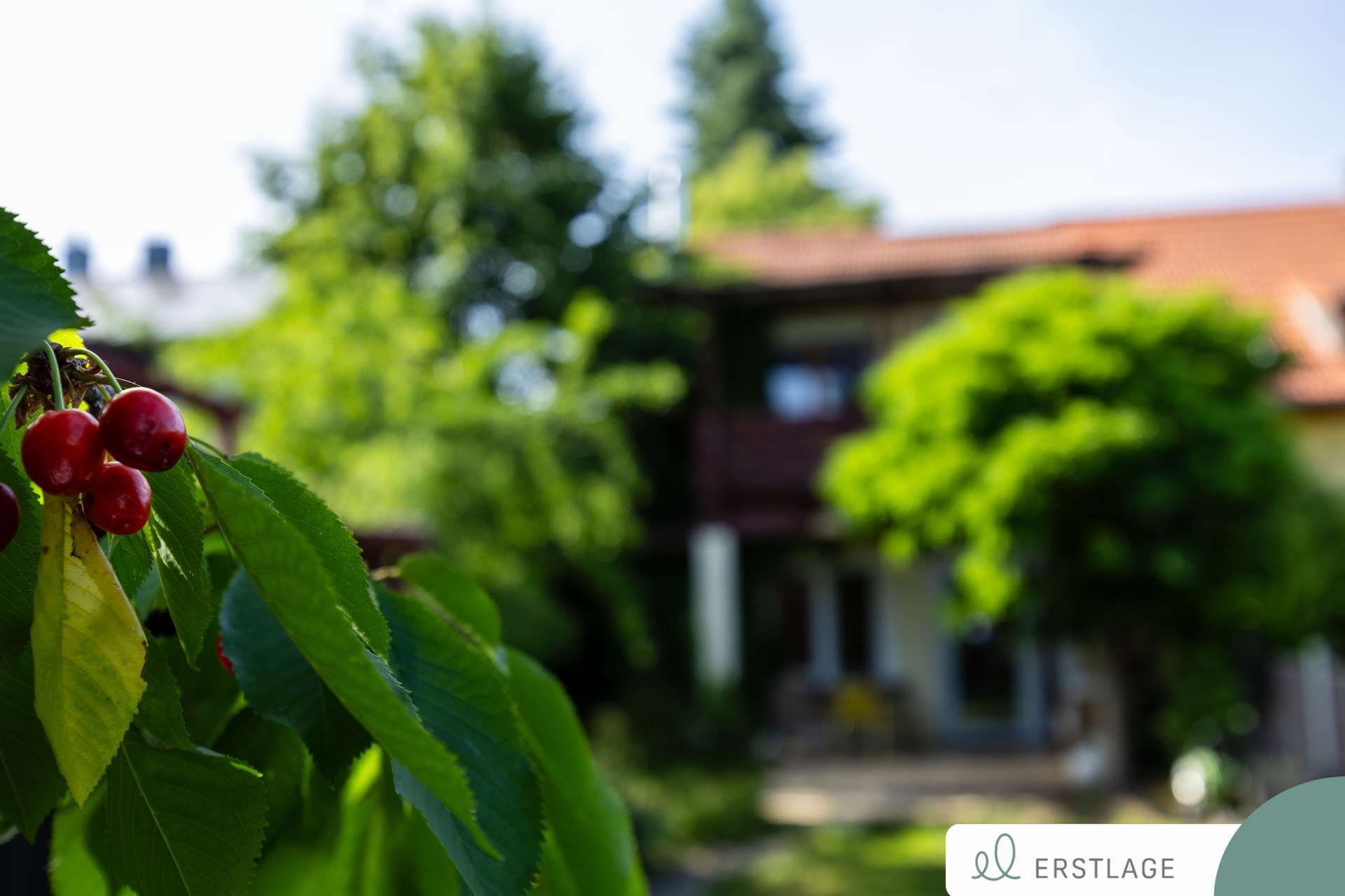Thumbnail-Haus zum Kaufen in Mainz 729.000,00 € 134 m²