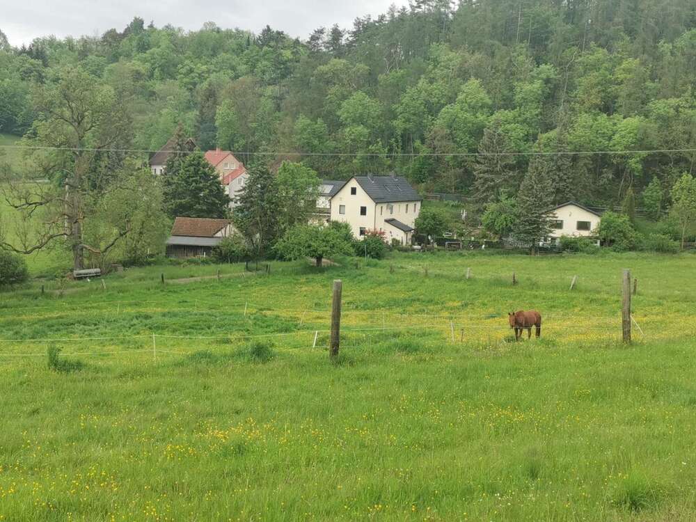Thumbnail-Haus zum Kaufen in Unterwellenborn 475.000,00 € 250 m²