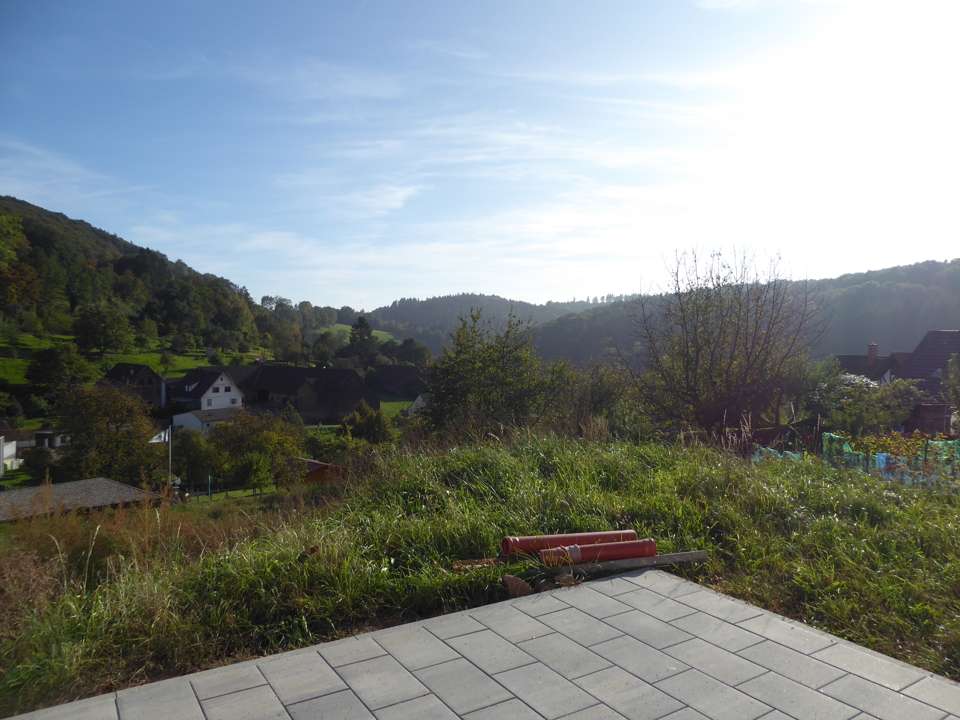 Thumbnail-Grundstück zu verkaufen in Erbach 300.000,00 € 1500 m²