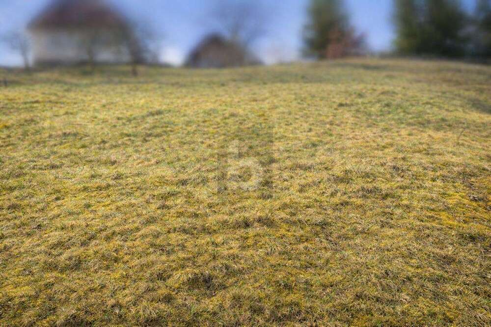 Thumbnail-Grundstück zu verkaufen in Baiersbronn 69.000,00 € 550 m²