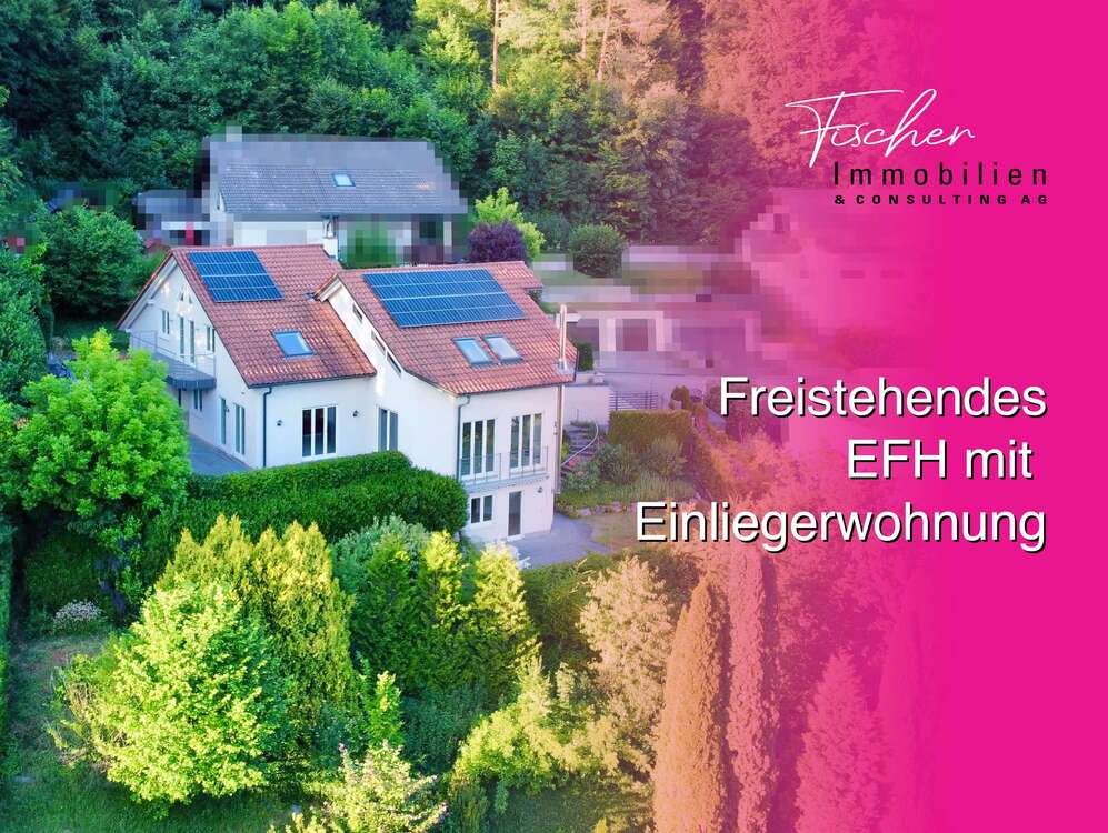 Thumbnail-Haus zum Kaufen in Immendingen 625.000,00 € 240 m²