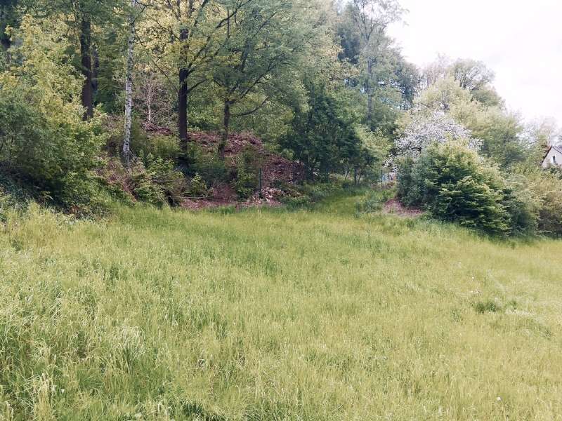 Thumbnail-Grundstück zu verkaufen in Tharandt 89.000,00 € 620 m²