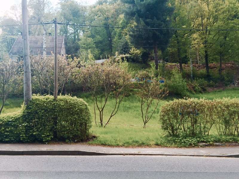 Thumbnail-Grundstück zu verkaufen in Tharandt 89.000,00 € 620 m²