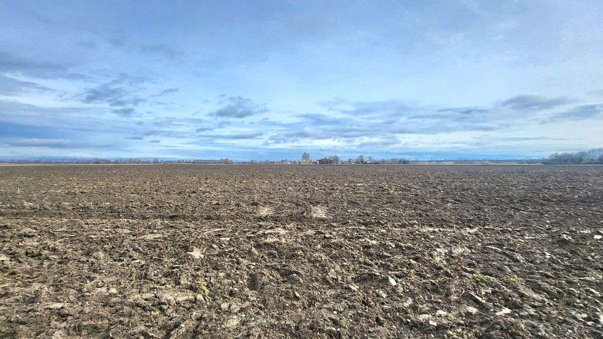 Thumbnail-Grundstück zu verkaufen in Leipheim Riedheim 1.000.000,00 € 82507 m²