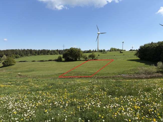 Thumbnail-Grundstück in Simmerath 12.000,00 € 3280 m²
