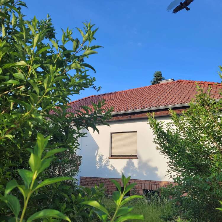 Thumbnail-Haus zum Kaufen in Samswegen 420.000,00 € 250 m²