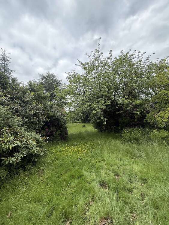 Thumbnail-Grundstück zu verkaufen in Rosengarten 699.000,00 € 1244 m²