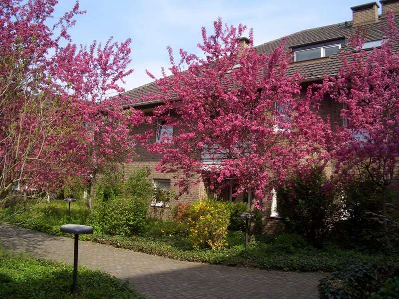 Thumbnail-Wohnung zum Mieten in Bonn 444,71 € 46.96 m²