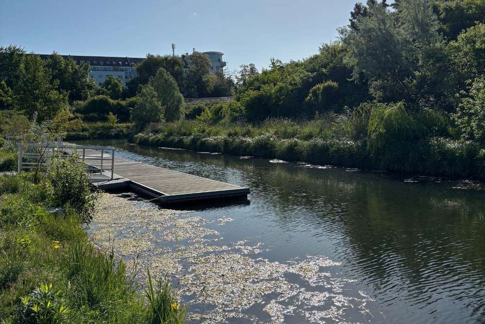 Thumbnail-Wohnung zum Mieten in Leipzig 1.412,80 € 88.3 m²