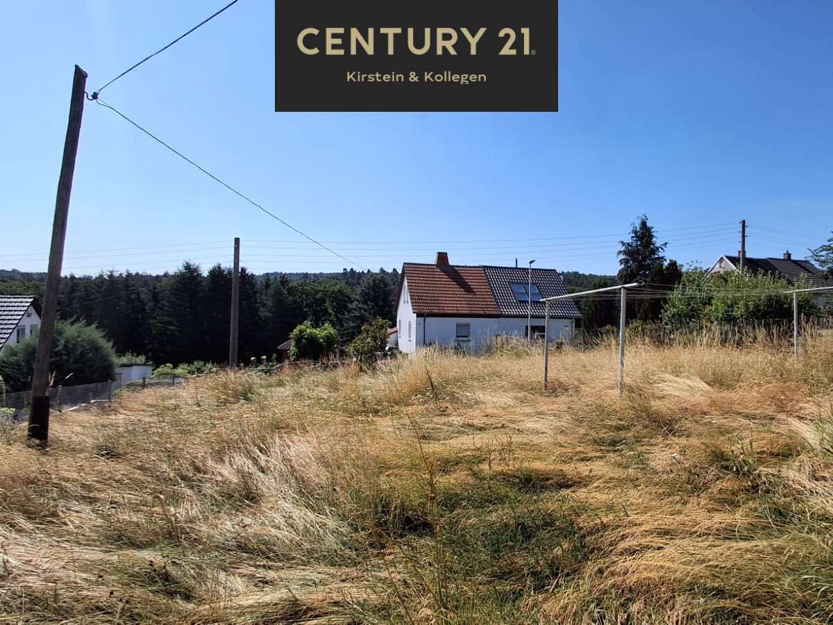 Thumbnail-Grundstück zu verkaufen in Weida 59.000,00 € 320 m²