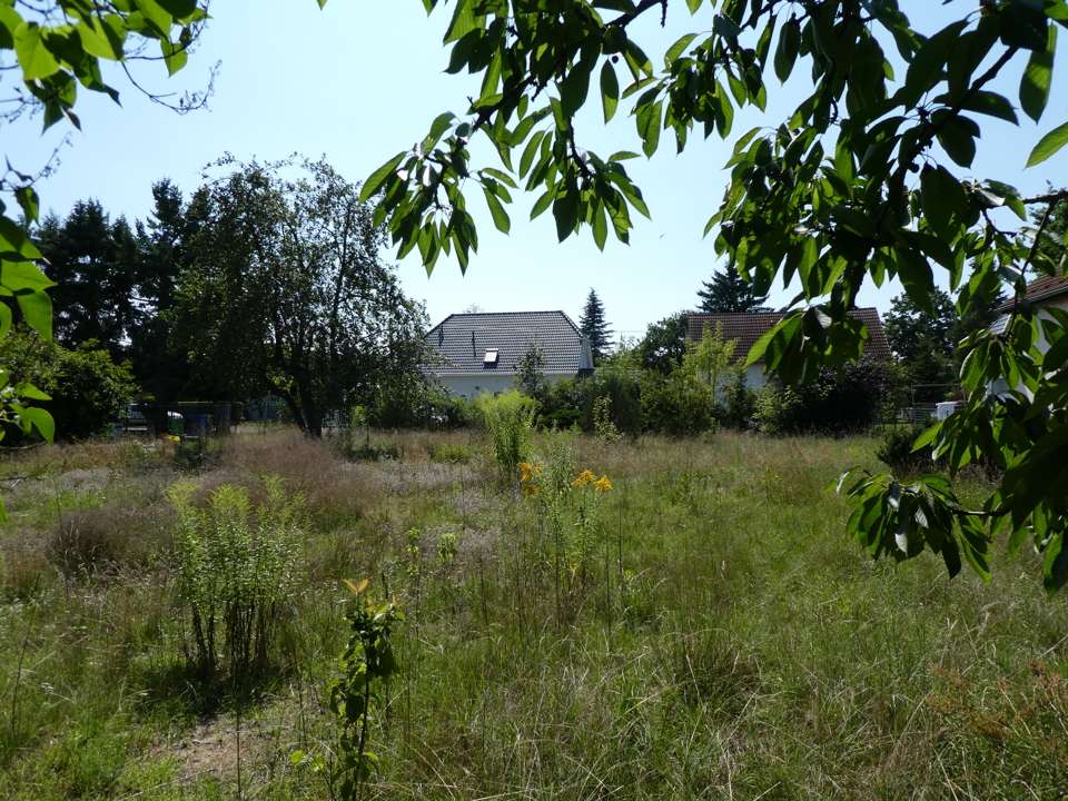 Thumbnail-Grundstück zu verkaufen in Altlandsberg 400.000,00 € 1099 m²