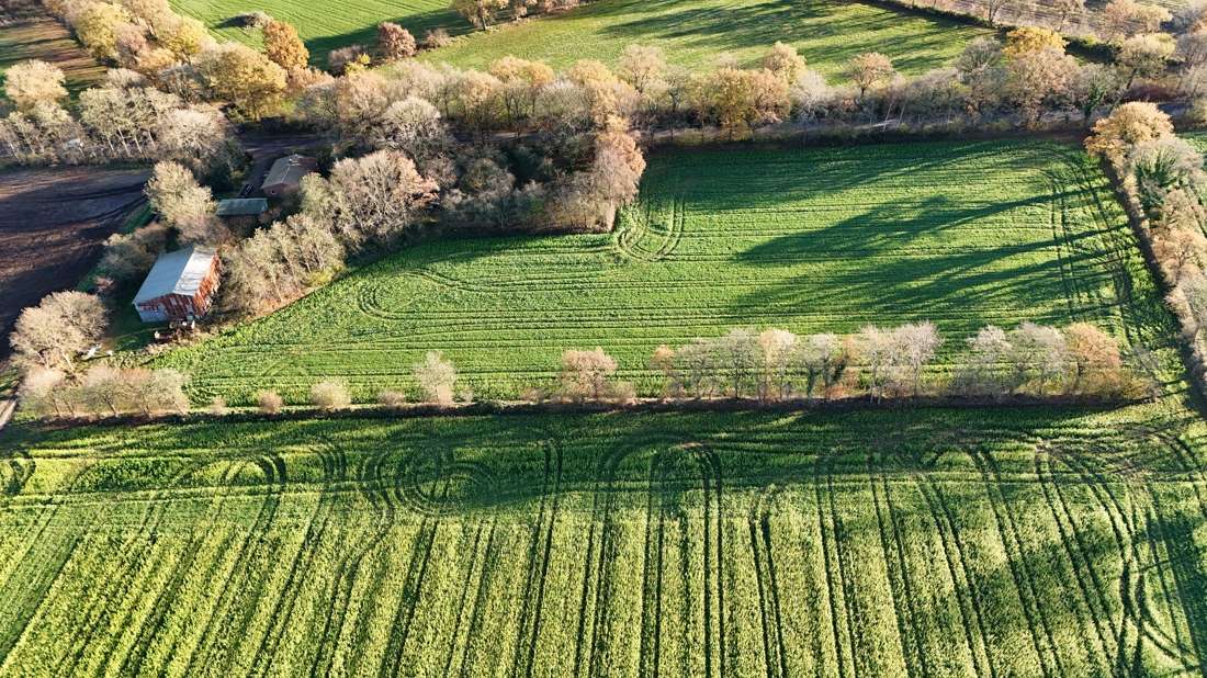 Thumbnail-Haus zum Kaufen in Krumstedt 179.000,00 € 95 m²