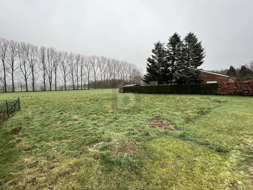 Thumbnail-Grundstück zu verkaufen in Gütersloh 315.000,00 € 1179 m²