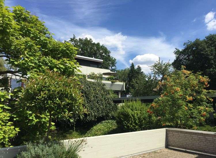 Thumbnail-Wohnung zum Kaufen in Dreieich 570.000,00 € 178 m²