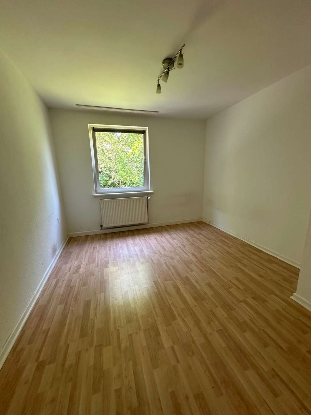 Thumbnail-Wohnung zum Mieten in Kassel 340,00 € 33.57 m²