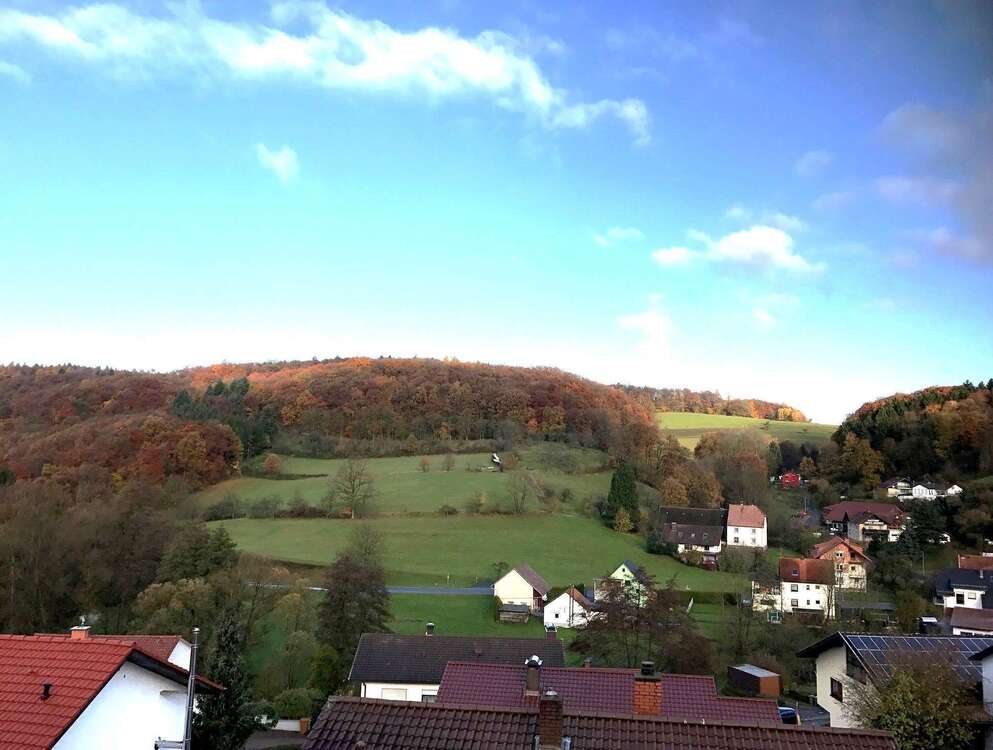 Thumbnail-Grundstück zu verkaufen in Weinheim 229.500,00 € 512 m²