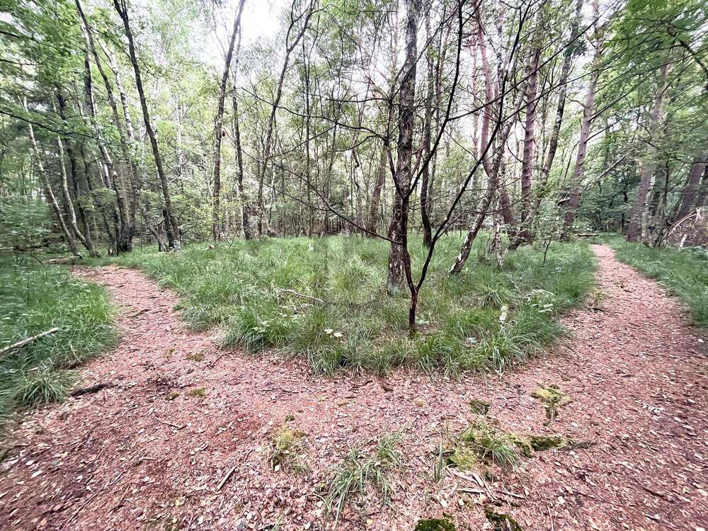 Thumbnail-Grundstück zu verkaufen in Pinneberg 100.000,00 € 5634 m²