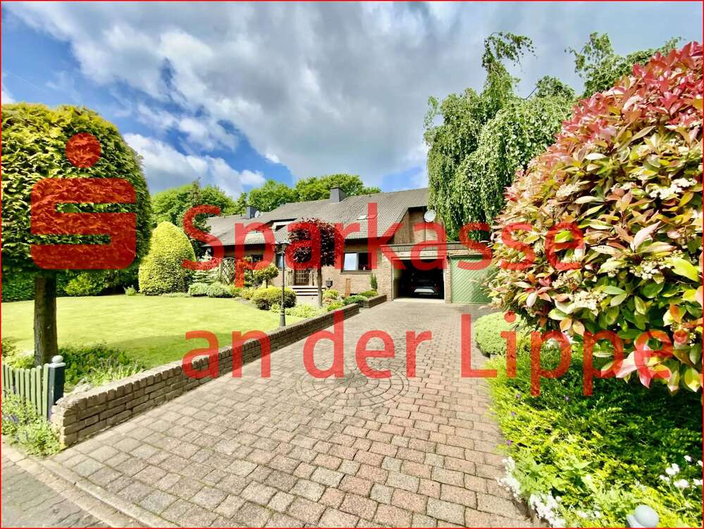 Thumbnail-Haus zum Kaufen in Werne 569.000,00 € 221 m²