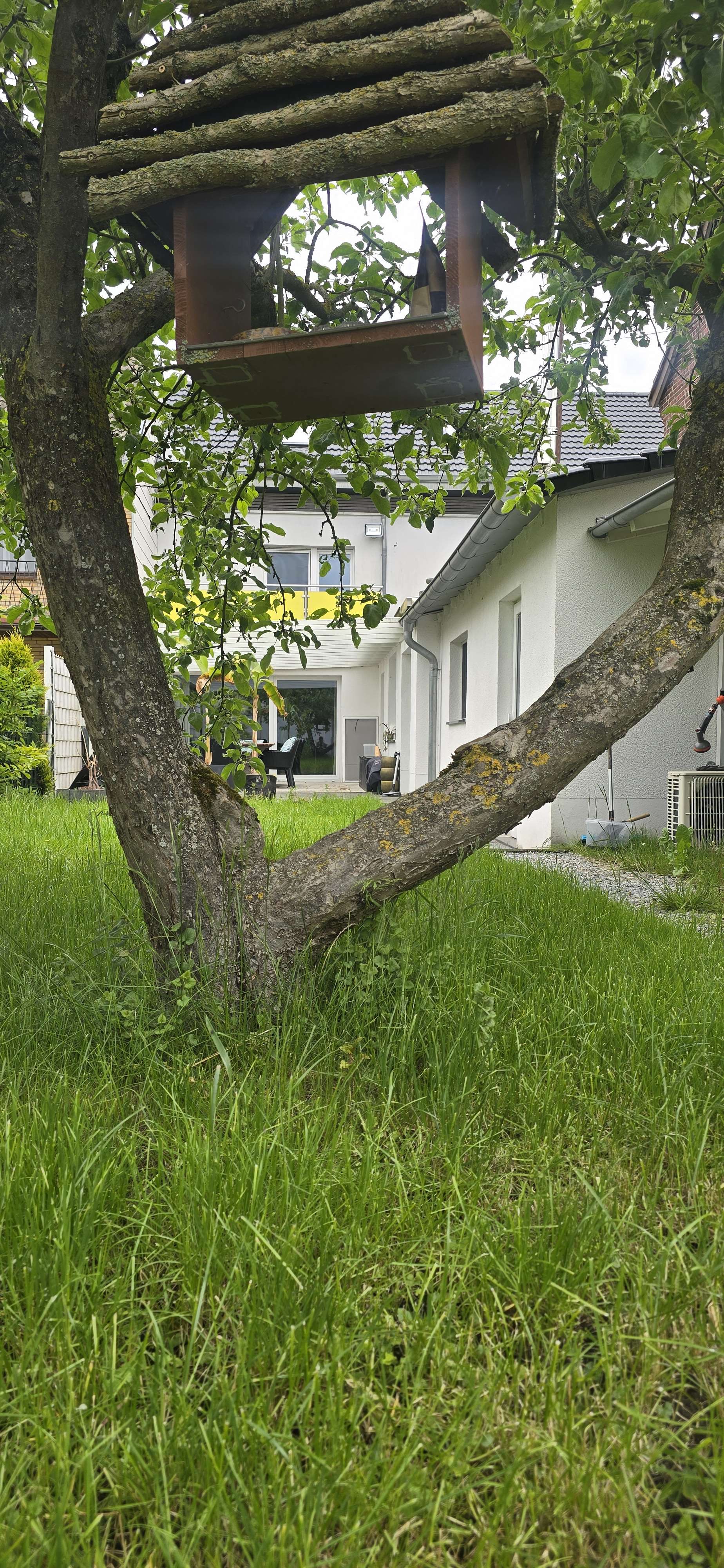 Thumbnail-Haus zum Kaufen in Alsdorf 529.000,00 € 260 m²