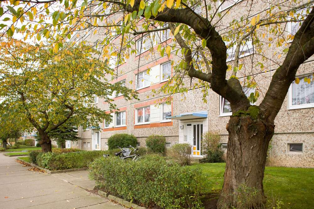 Thumbnail-Wohnung zum Mieten in Neubrandenburg 313,00 € 62.93 m²