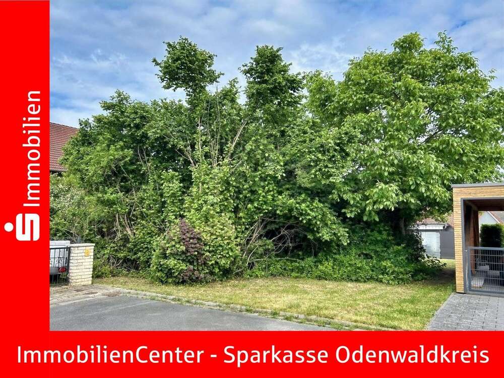Thumbnail-Grundstück zu verkaufen in Michelstadt 149.000,00 € 576 m²
