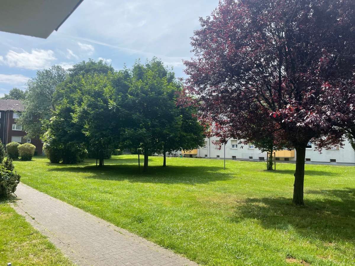 Thumbnail-Wohnung zum Mieten in Duisburg 440,00 € 57 m²