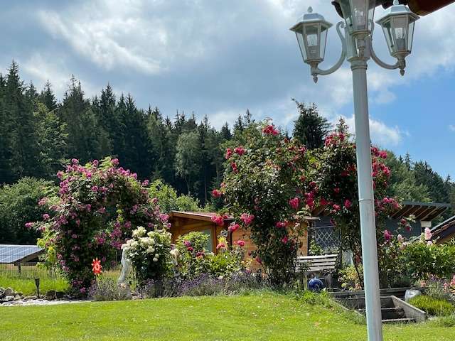 Thumbnail-Haus zum Kaufen in Regen 399.000,00 € 175 m²