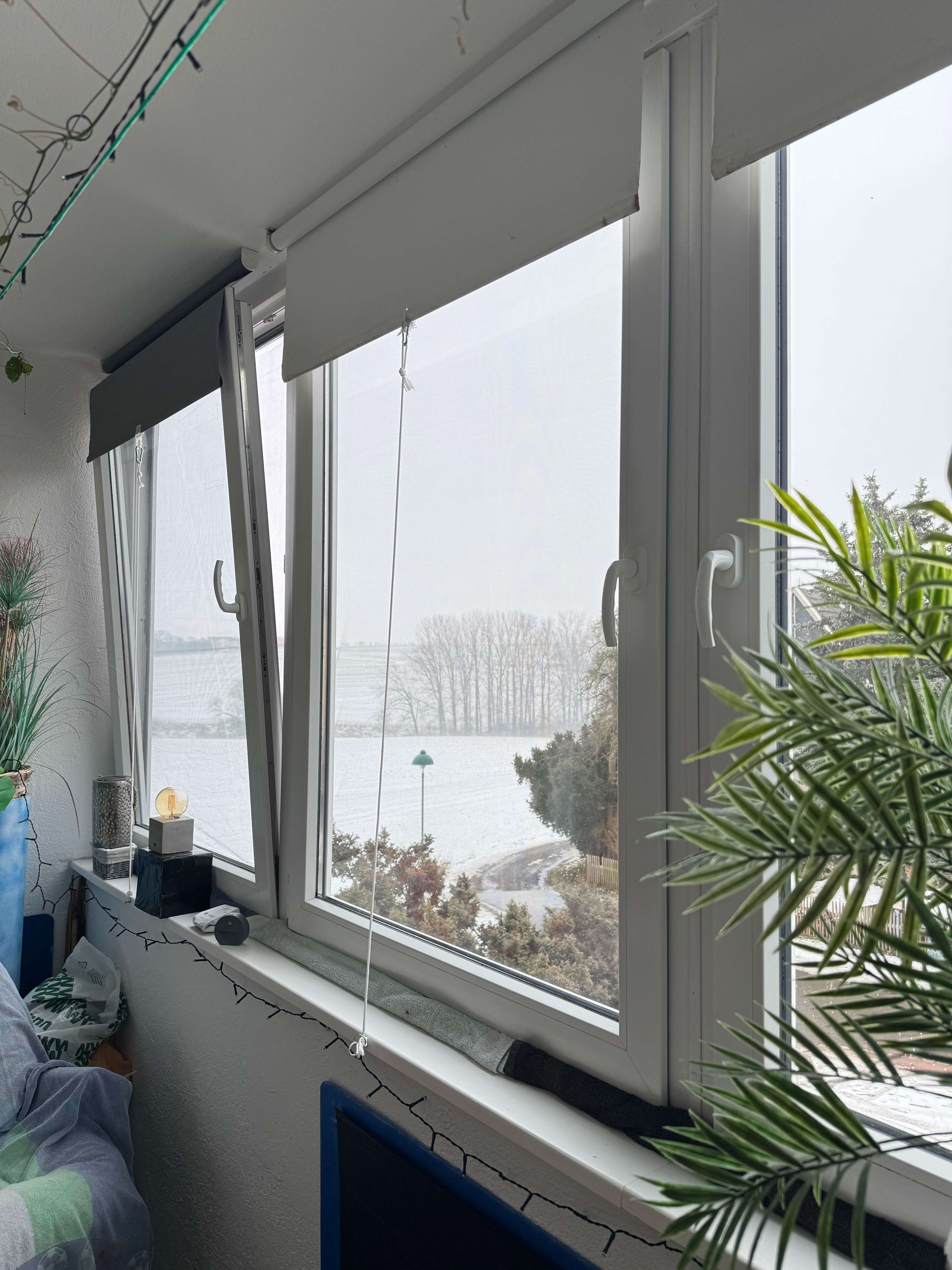 Thumbnail-Wohnung zum Kaufen in Rhäsa 52.000,00 € 50 m²