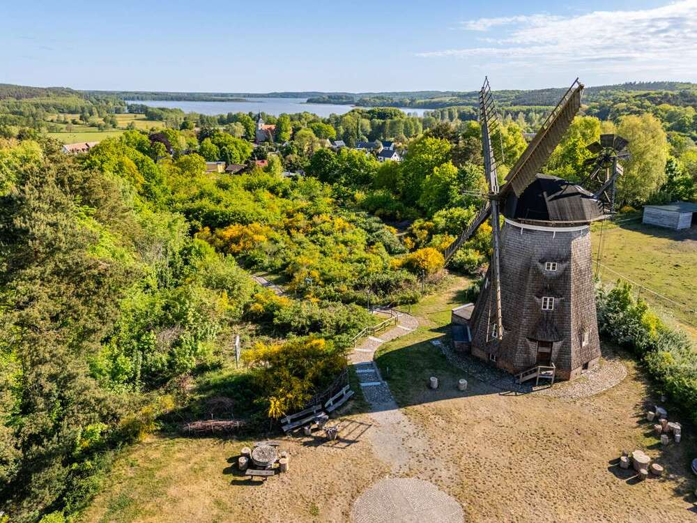 Thumbnail-Grundstück zu verkaufen in Benz 180.000,00 € 1180 m²