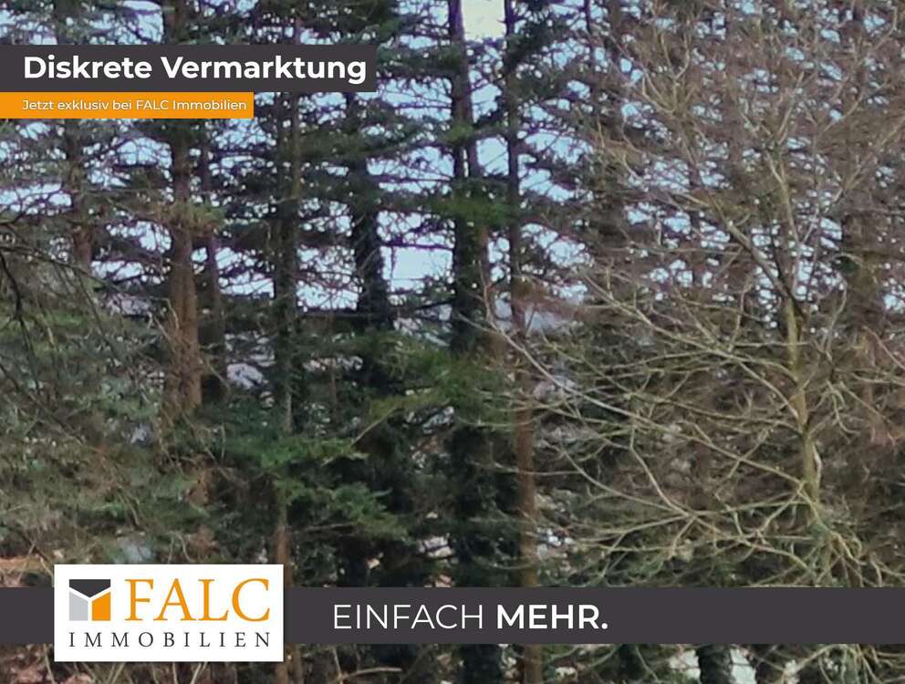 Thumbnail-Haus zum Kaufen in Mömbris-Niedersteinbach 1.450.000,00 € 220 m²