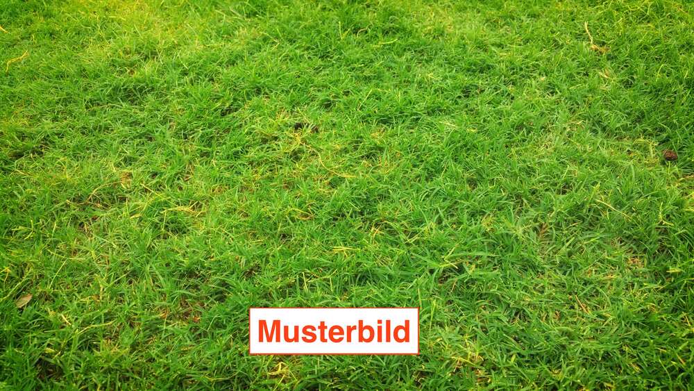 Thumbnail-Grundstück zu verkaufen in Erlangen 515.000,00 € 599 m²