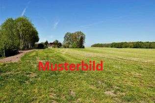 Thumbnail-Grundstück zu verkaufen in Frankfurt 610.000,00 € 701 m²